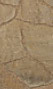 Danville Beige