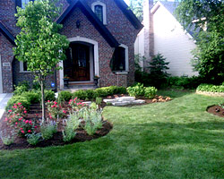 Landscape Design & Installation