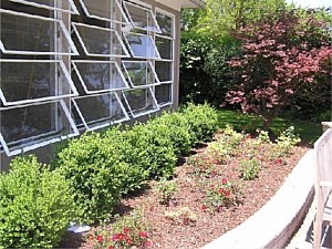 Photo 39