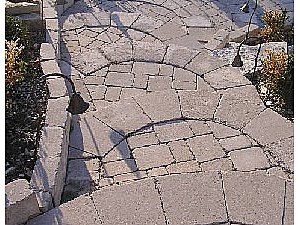Photo 72