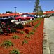 Landscape Design and Install