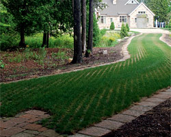 Turfstone&trade Collection;